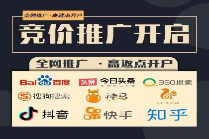 信息流广告的精准定位与效果优化案例分析